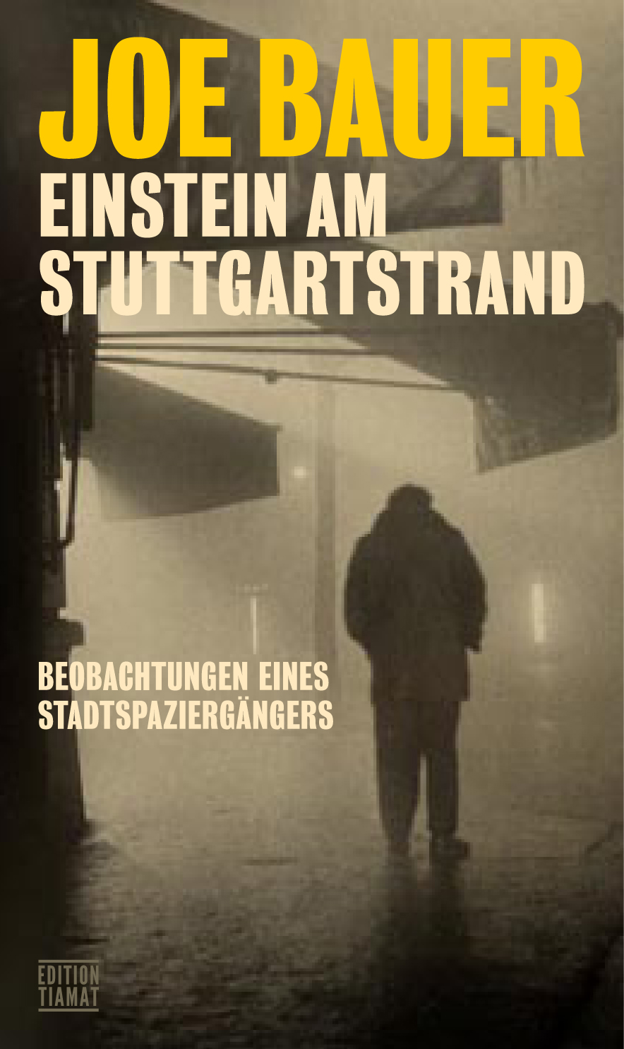 Einstein am Stuttgartstrand